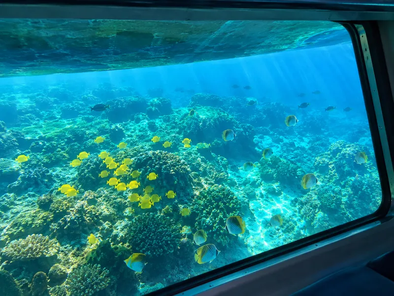Voile et snorkeling à Molokini sur le Four Winds II