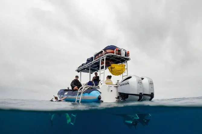 A small snorkel boat with a canopy and twin outboard engines on open water